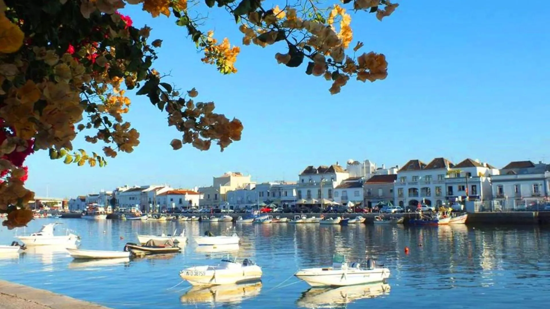 Apartment Josie-Cosy 2 Bed In Tavira Town Centre